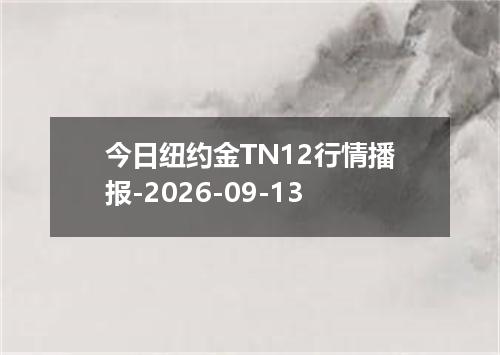 今日纽约金TN12行情播报-2026-09-13