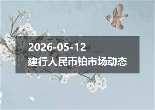 2026-05-12建行人民币铂市场动态