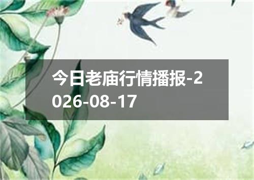 今日老庙行情播报-2026-08-17